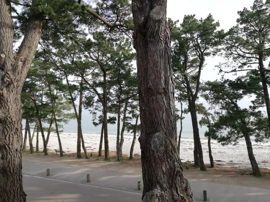 Face A La Mer Fouesnant Bagian luar foto