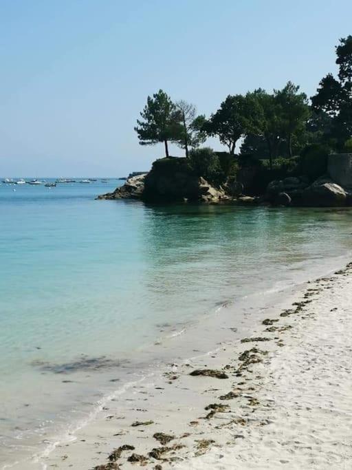Face A La Mer Fouesnant Bagian luar foto